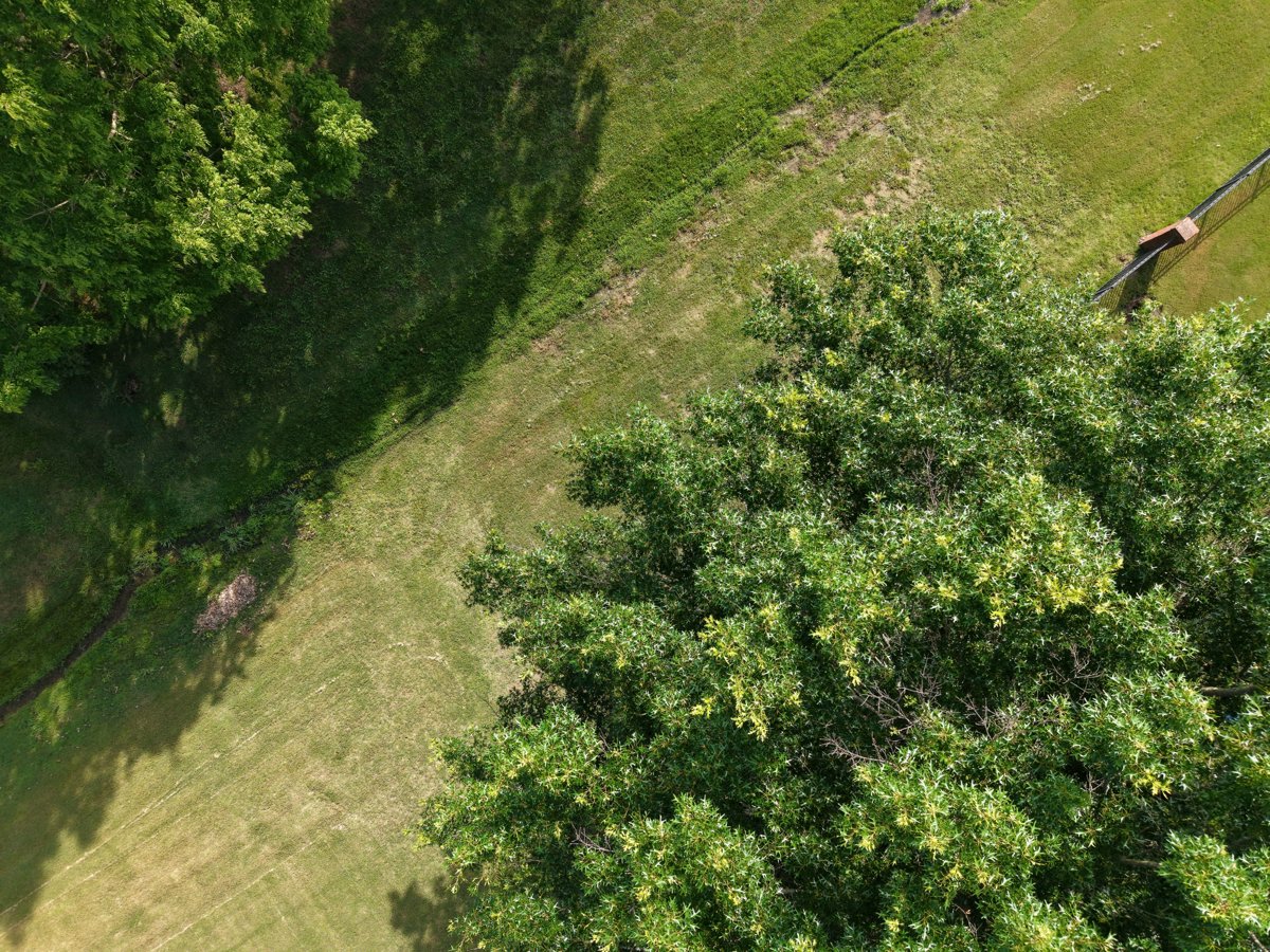 Drone 3d model of Brackin Demeree G Richard Aerial drone 3d model in Owens Cross Roads, Al, US