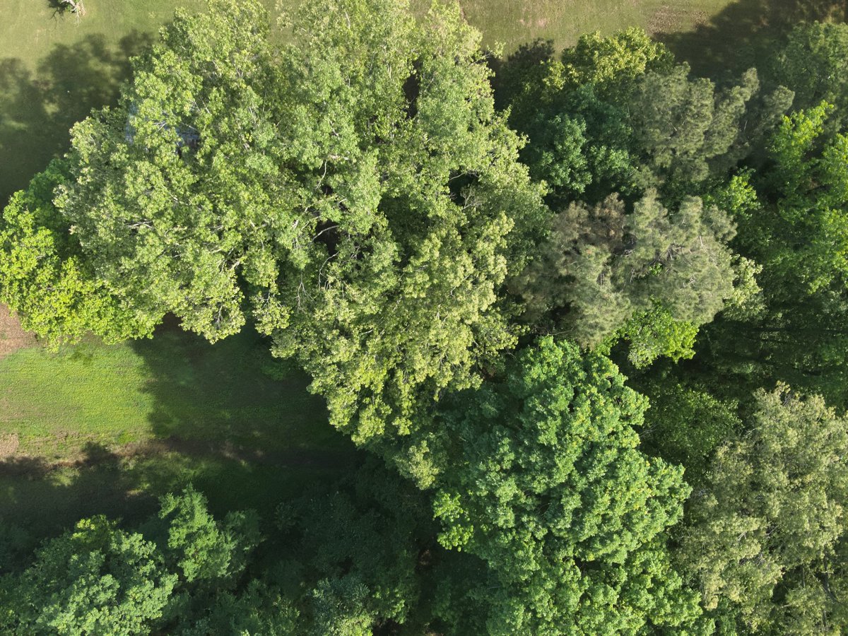 Drone 3d model of Tillman Heating Air LLC Henderson Ink Aerial drone 3d model in Monticello, Ar, US