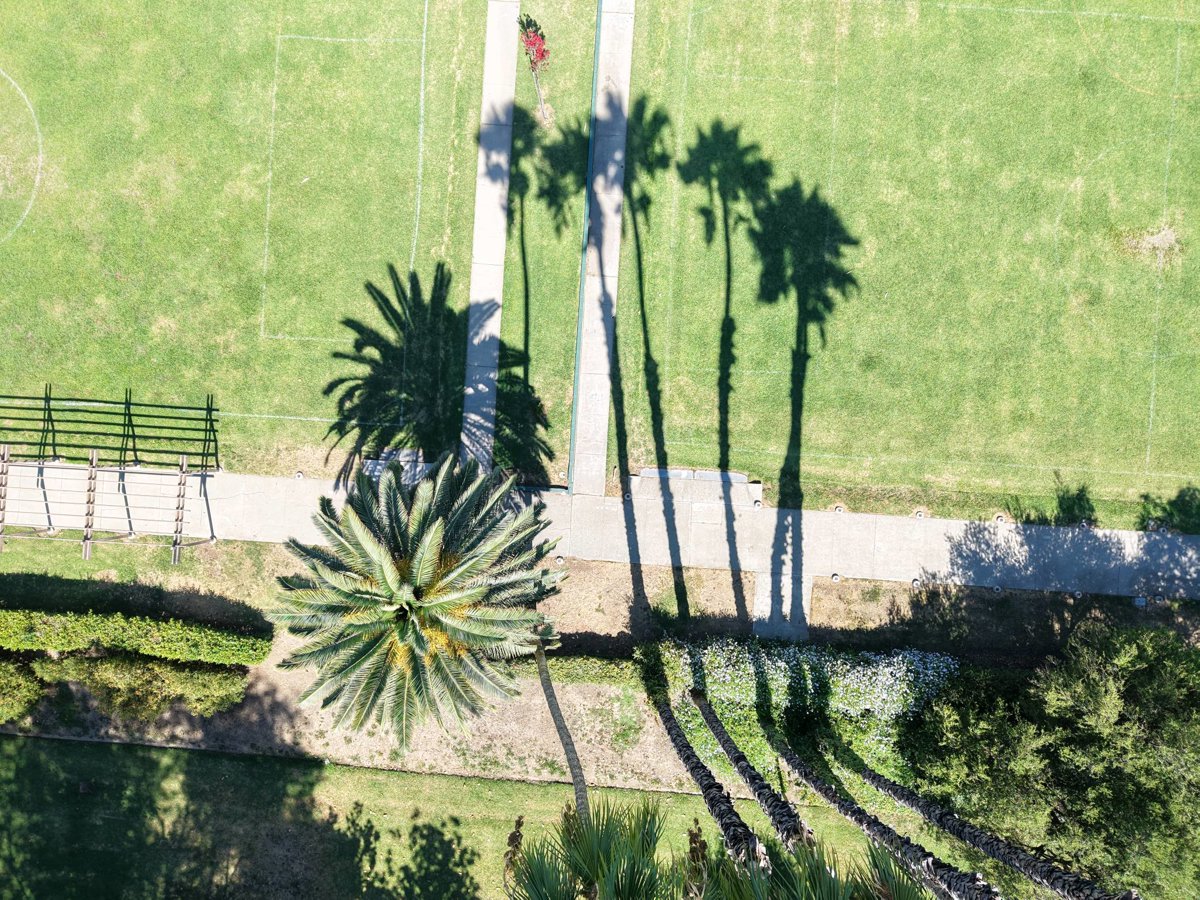 Thumbnail preview for 3D Drone Model of Larkin Park Community Center 763 West Harrison Avenue Sage Mountain Beef in Claremont, California, United States