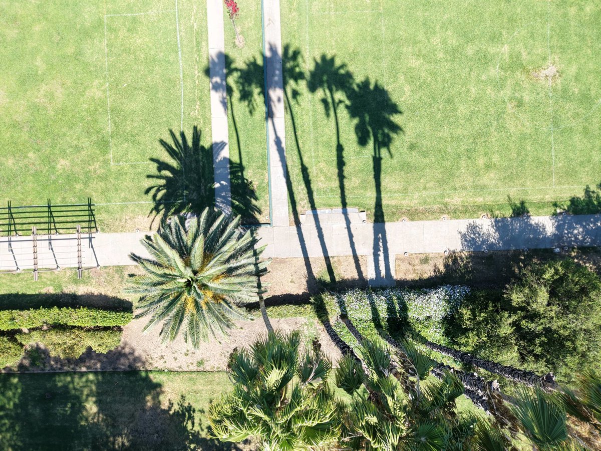 Thumbnail preview for 3D Drone Model of Larkin Park Community Center 763 West Harrison Avenue Sage Mountain Beef in Claremont, California, United States