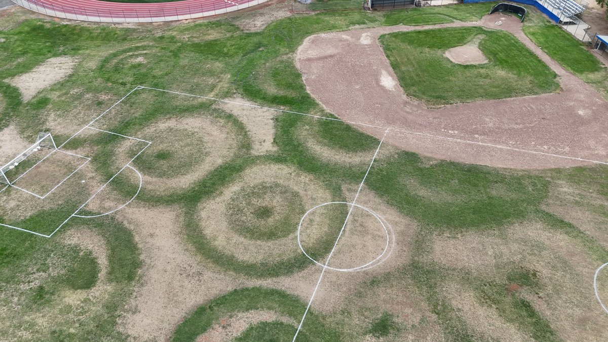 Drone 3d model of Shasta High School TRIMSNet in Sunset Aerial drone 3d model in Redding, Ca, US