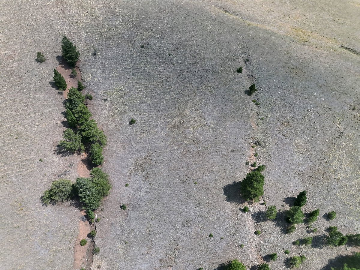 Thumbnail preview for 3D Drone Model of Mountain Meadow Cabin In Cotopaxi On 40 Acres Secluded With Panoramic Mtn Views Vacation Home in Fremont County, Colorado, United States