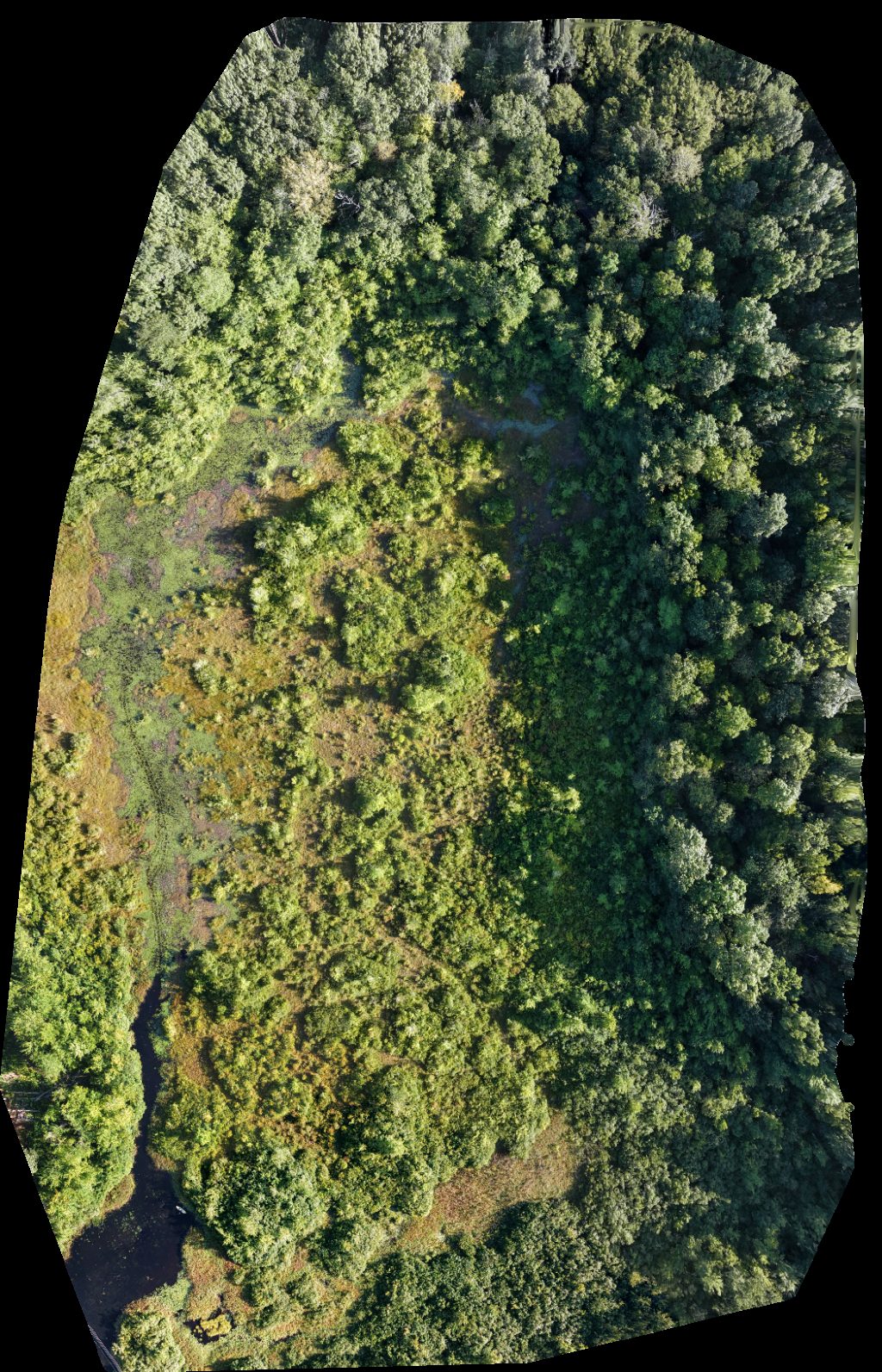 Thumbnail preview for Drone Map of Relax With A Beautiful Lake View 2 Labs Digital Marketing in East Haddam, Connecticut, United States