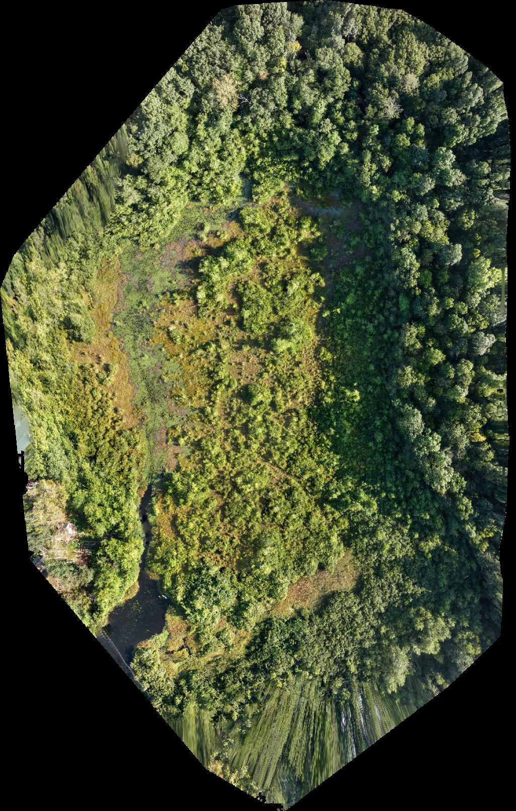 Thumbnail preview for Drone Map of Relax With A Beautiful Lake View 2 Labs Digital Marketing in East Haddam, Connecticut, United States