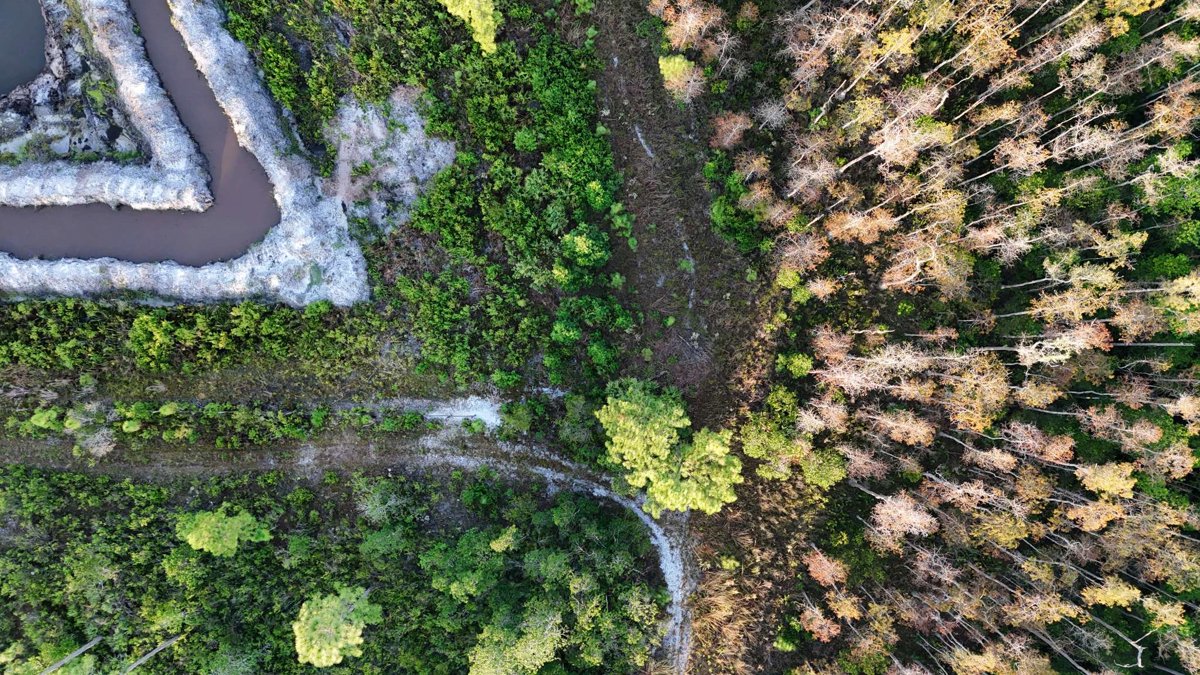 Drone 3d model of Honey Bee Borrow Pit Nazeeka Baksh Aerial drone 3d model in Christmas, Fl, US