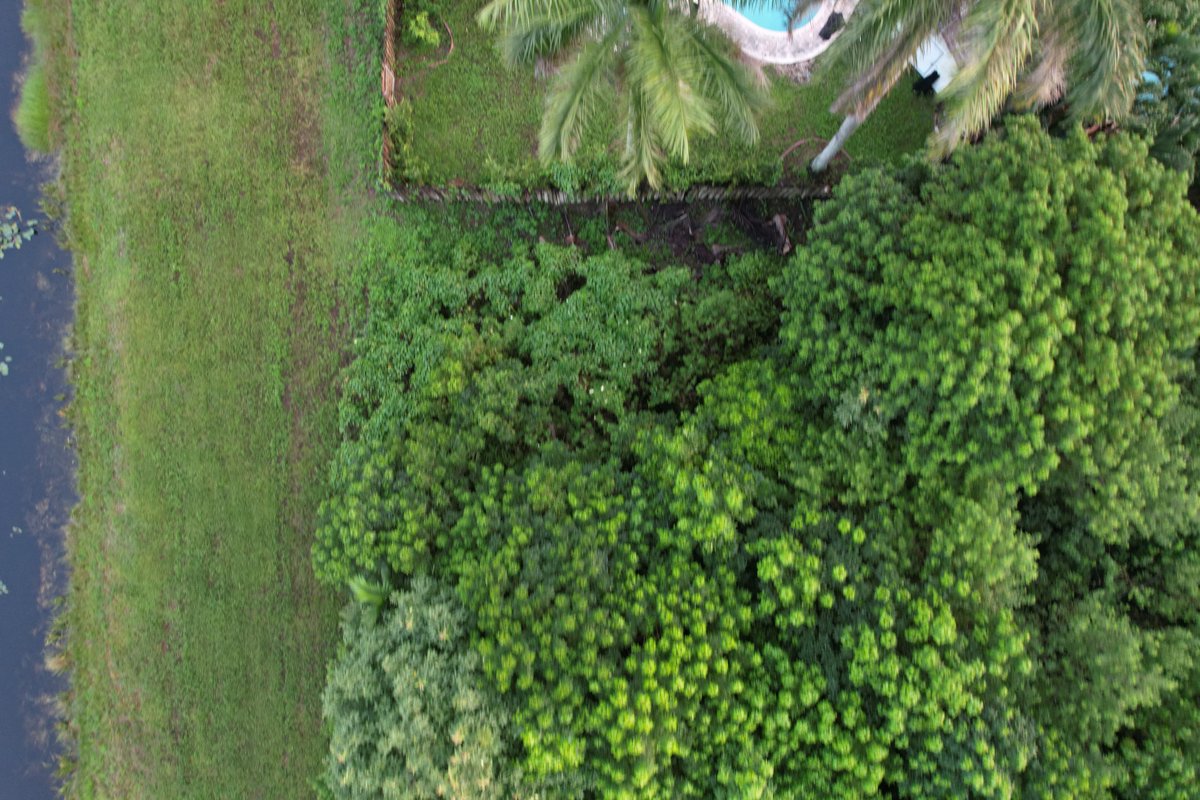 Drone 3d model of Natalie s Cove Park Precision Appraisal Zone Aerial drone 3d model in Cooper City, Fl, US