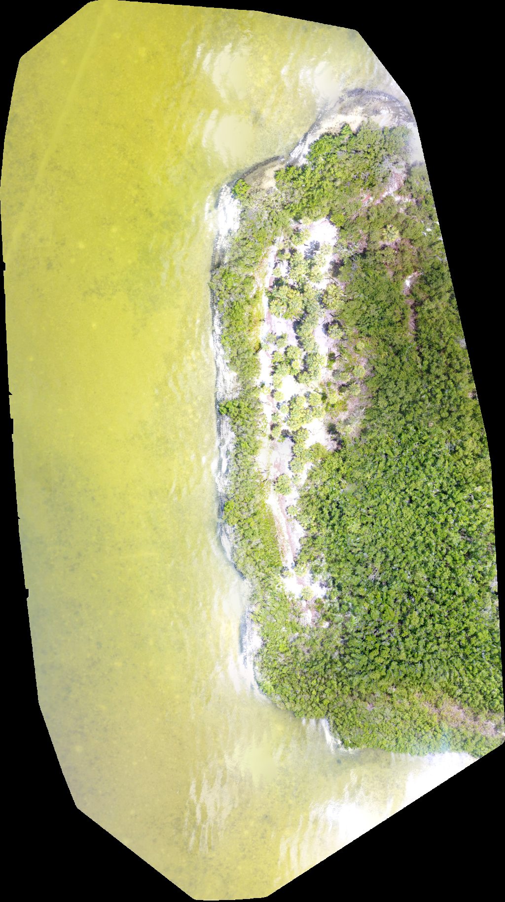 Thumbnail preview for Drone Map of Sesco Cement Terminals Port Redwing in Gibsonton, Florida, United States