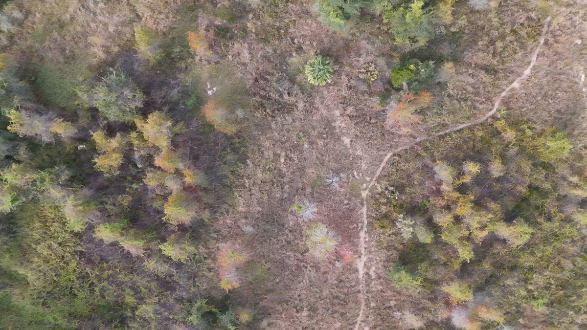 Drone 3d model of Electrical Substation Clermont RC in highlands mobile home Aerial drone 3d model in Minneola, Fl, US