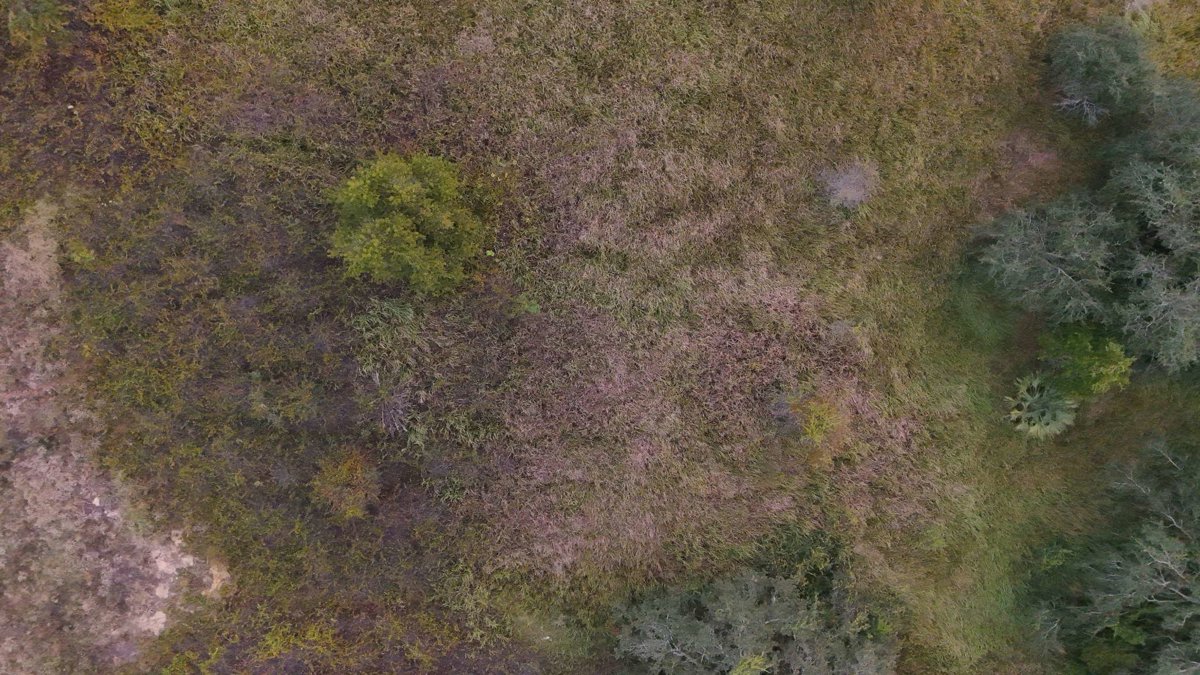 Drone 3d model of Electrical Substation Interiorscapes in highlands mobile home Aerial drone 3d model in Minneola, Fl, US