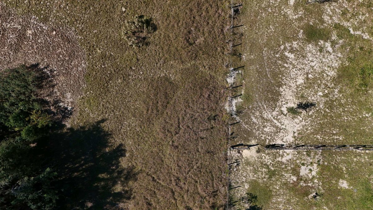 Drone 3d model of S J Nursery Inc Edgewood Cemetery Aerial drone 3d model in Mount Dora, Fl, US