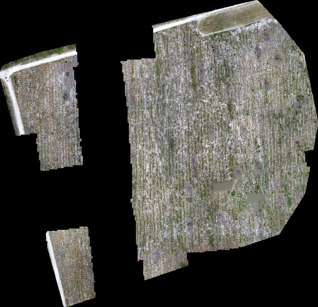 Drone map of Double A 420 Farm Newman Property in hunting club Aerial drone map in Du Pont, Ga, US