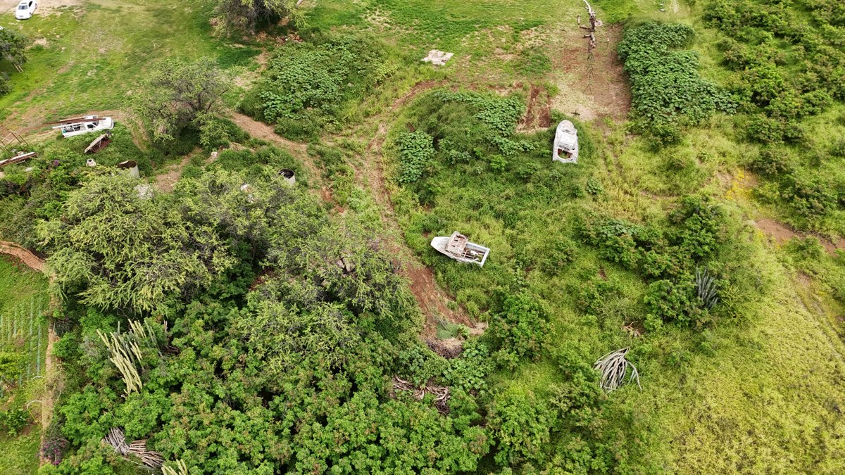 Drone 3d model of Won Buddhism of America Majah Mangos and Exotic Fruits in makaha valley Aerial drone 3d model in Waianae, Hi, US