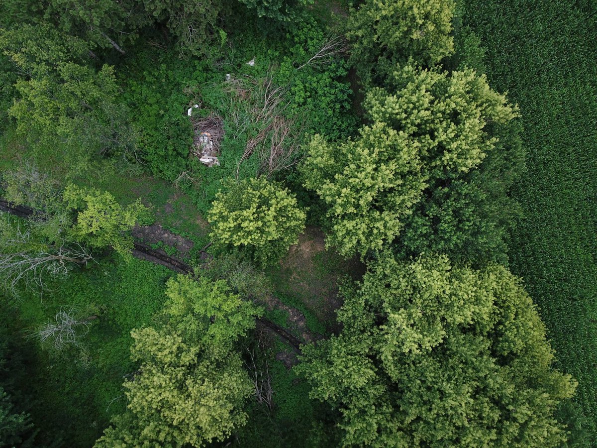 Thumbnail preview for 3D Drone Model of Nexus Westgate Firemans Park in Oelwein, Iowa, United States