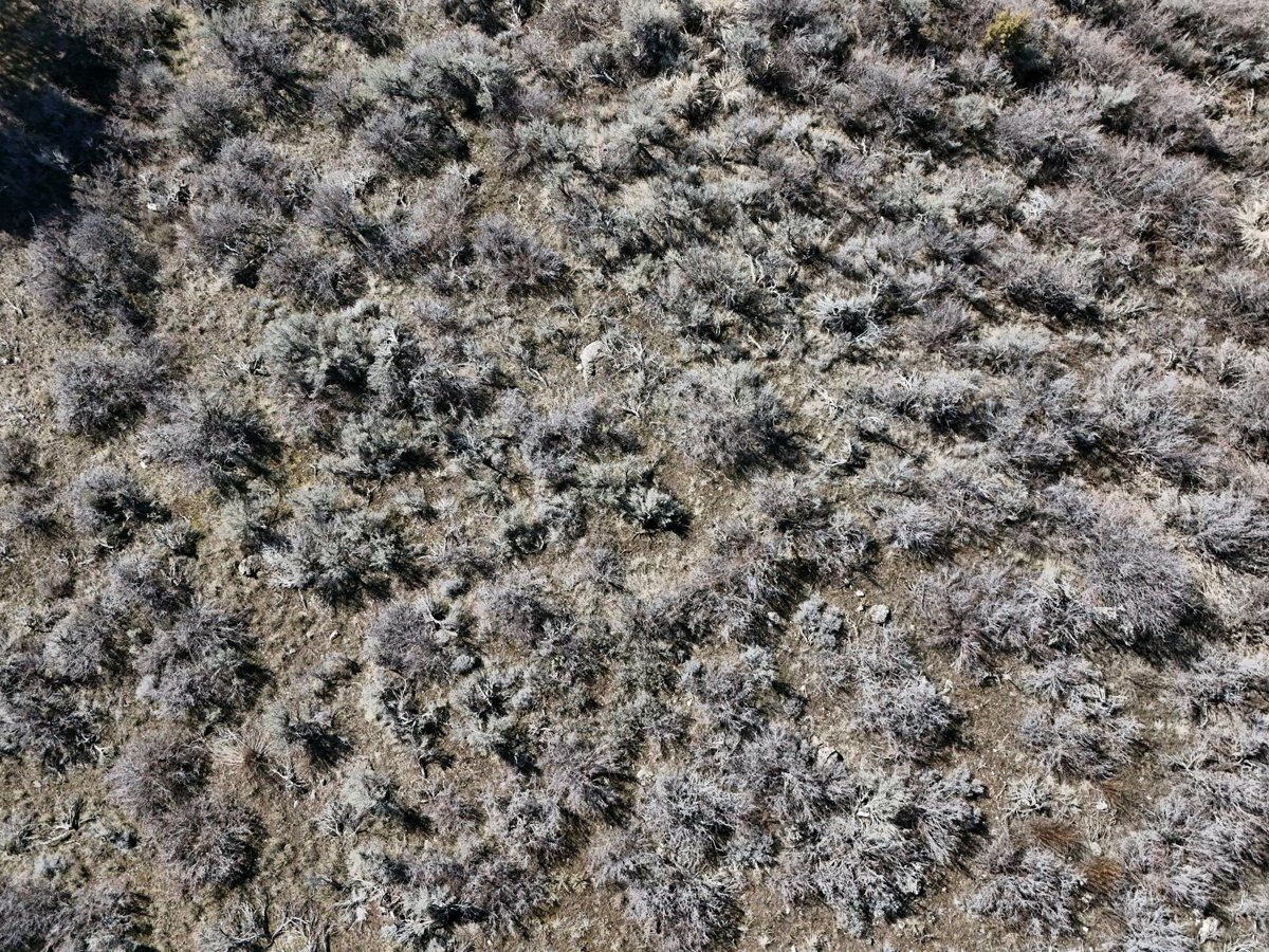 Drone 3d model of 7 mins from Lava Hot Springs Polynesia Themed Yurt in lava hot springs Aerial drone 3d model in Bannock County, Id, US