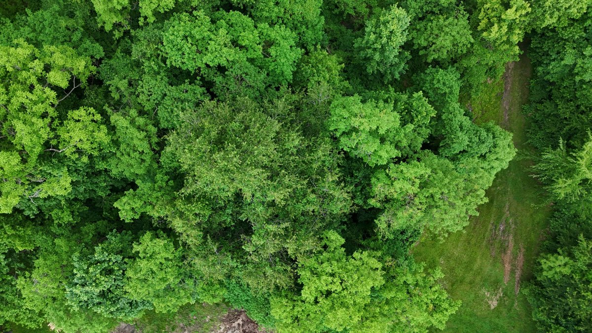 Drone 3d model of Oakwood Stables Ark Logistics Services Aerial drone 3d model in Martinsville, In, US