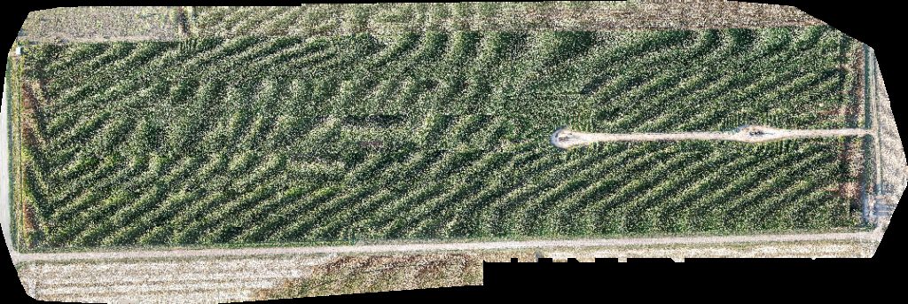 Thumbnail preview for Drone Map of Froese Brothers Inc Hoffnungsau Mennonite Church in Inman, Kansas, United States