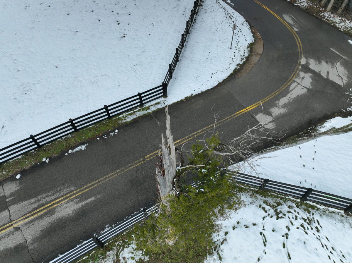 Drone 3d model of Campos de futbol The Parklands of Floyd s Fork in Pope Lick Park Aerial drone 3d model in Louisville, Ky, US