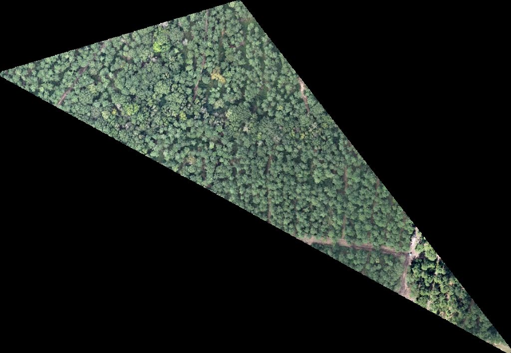 Drone map of South Claiborne Water Office Case Farms Hatchery Aerial drone map in Athens, La, US