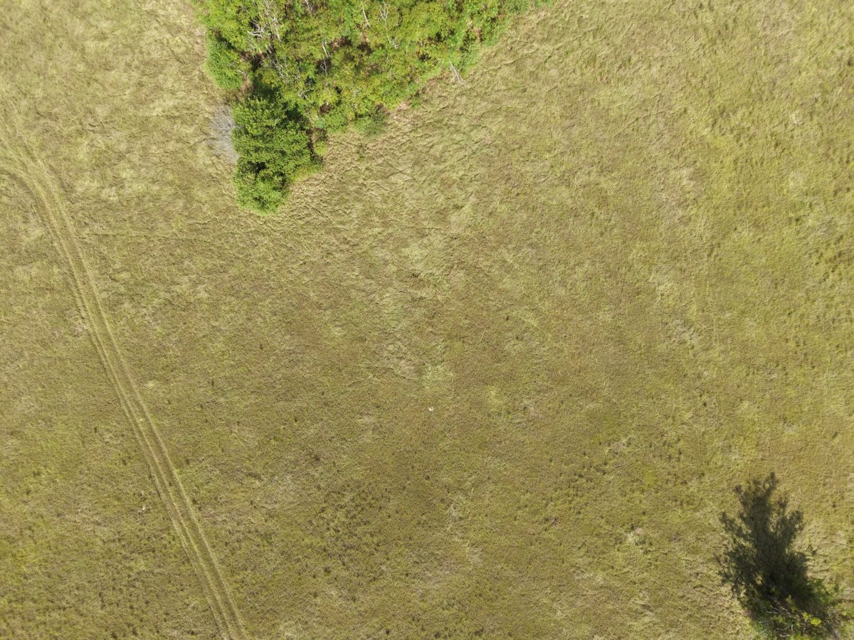 Thumbnail preview for 3D Drone Model of Kimbrell Cemetery Mount Zion United Methodist Church in Montgomery, Louisiana, United States