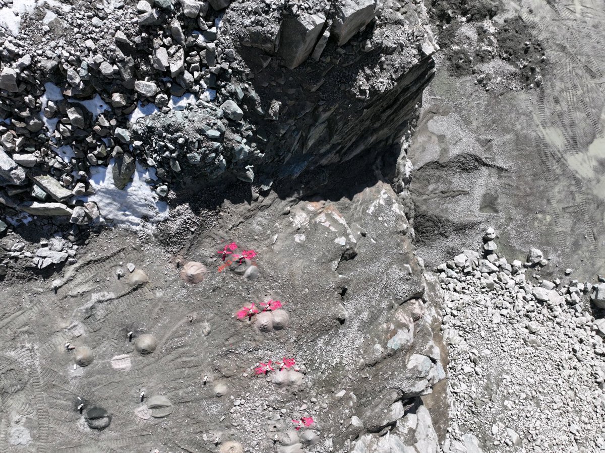 Drone 3d model of West Roxbury Crushed Stone Co Centre St Grove in West Roxbury Aerial drone 3d model in Boston, Ma, US