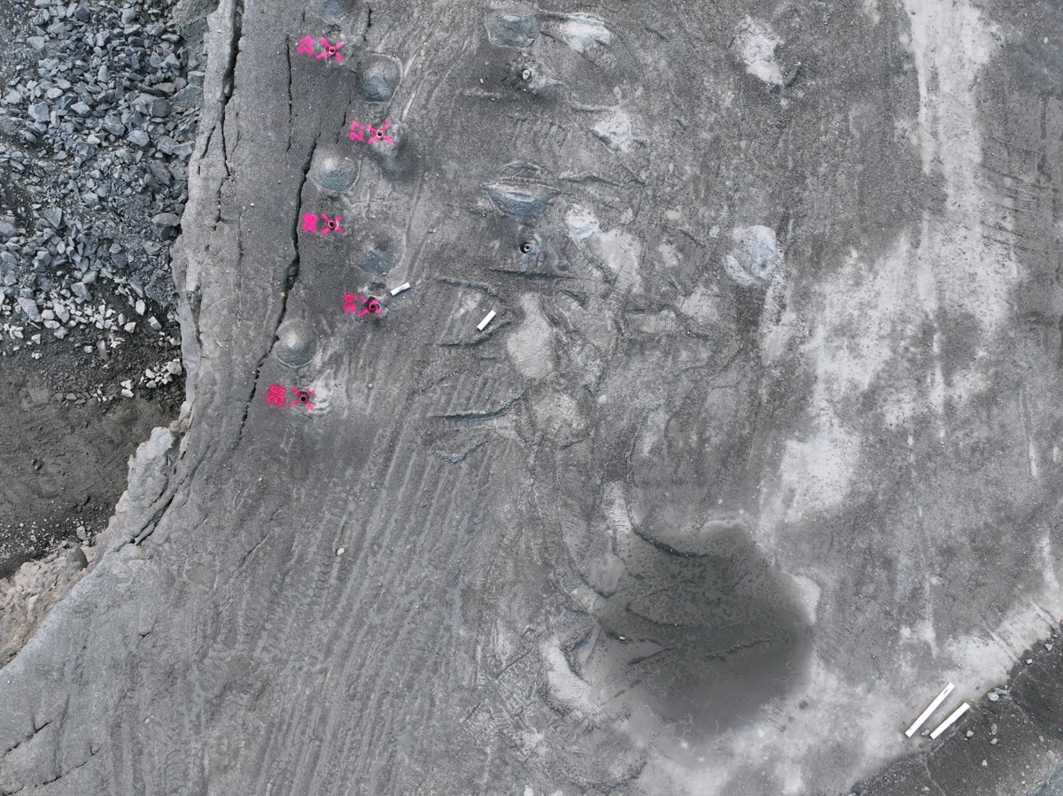 Thumbnail preview for 3D Drone Model of Cape Cod Aggregates Pettey Auto Salvage in Freetown, Massachusetts, United States