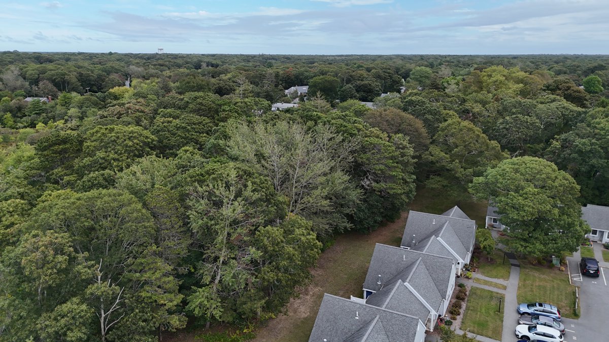 Drone 3d model of Lower Cape Community Housing Bank Street Cemetery in Harwich Port Aerial drone 3d model in Harwich, Ma, US