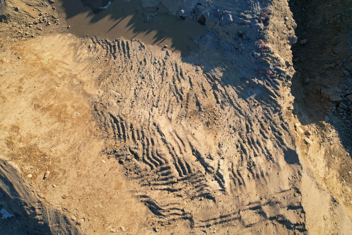 Drone 3d model of Onyx Transpot Innovative Mold Solutions in walmart home Aerial drone 3d model in Leominster, Ma, US