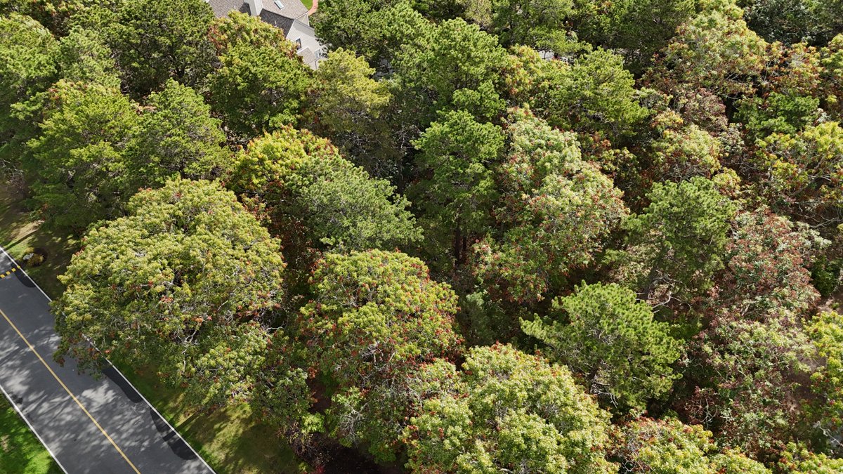 Drone 3d model of Lily s Candle Collection Deer Crossing Condominiums in behavioral health Aerial drone 3d model in Mashpee, Ma, US