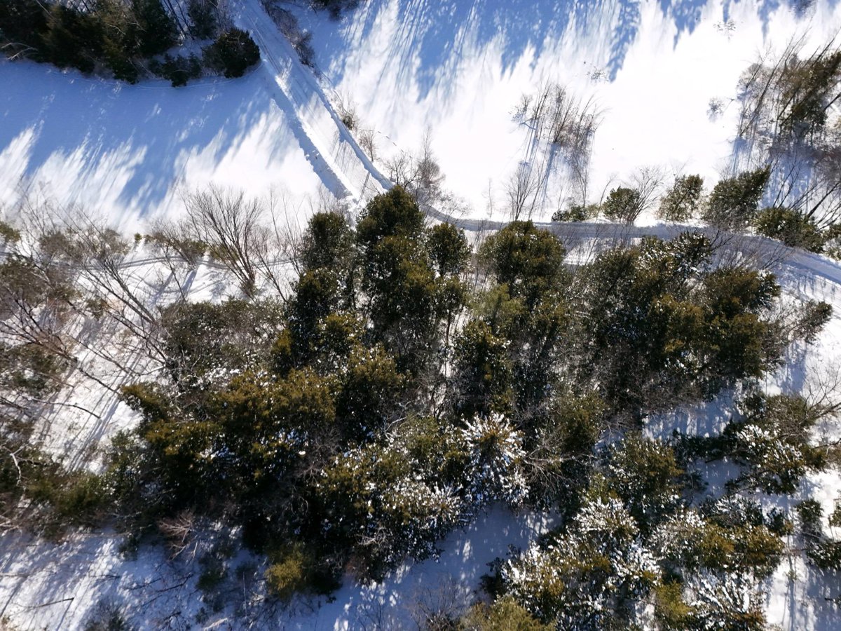 Drone 3d model of Pegmatite Mine BD 11 Plate Albany Area Maine Geological Survey Jewett Pond Retreat waterfront property with cabin and bunkhouse in cozy cottage lake Aerial drone 3d model in Waterford, Me, US