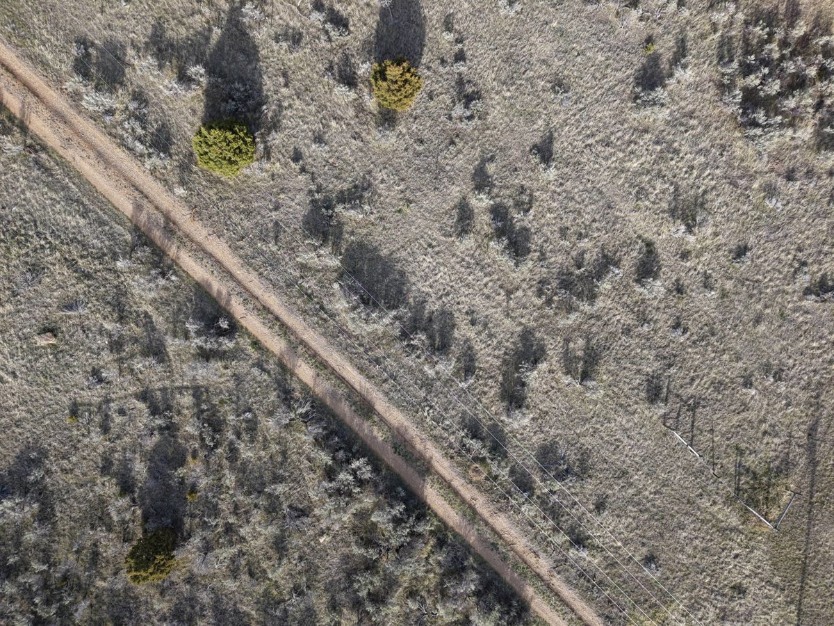 Drone 3d model of Hangman s Guest Ranch Kingfisher Cabin Entire by historic Virginia City Nevada Museum Music Hall in virginia city Aerial drone 3d model in Madison County, Mt, US