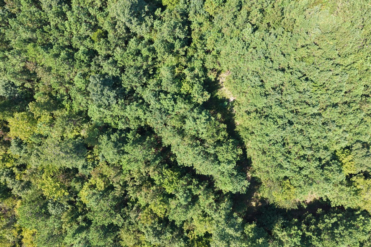 Drone 3d model of Genthe Plumbing LLC KMS Electrical in raven rock Aerial drone 3d model in Broadway, Nc, US