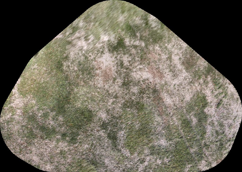 Drone map of L M Warehouse and Packing INC Dorothea Dix Hammock Area in Southwest Raleigh Aerial drone map in Raleigh, Nc, US