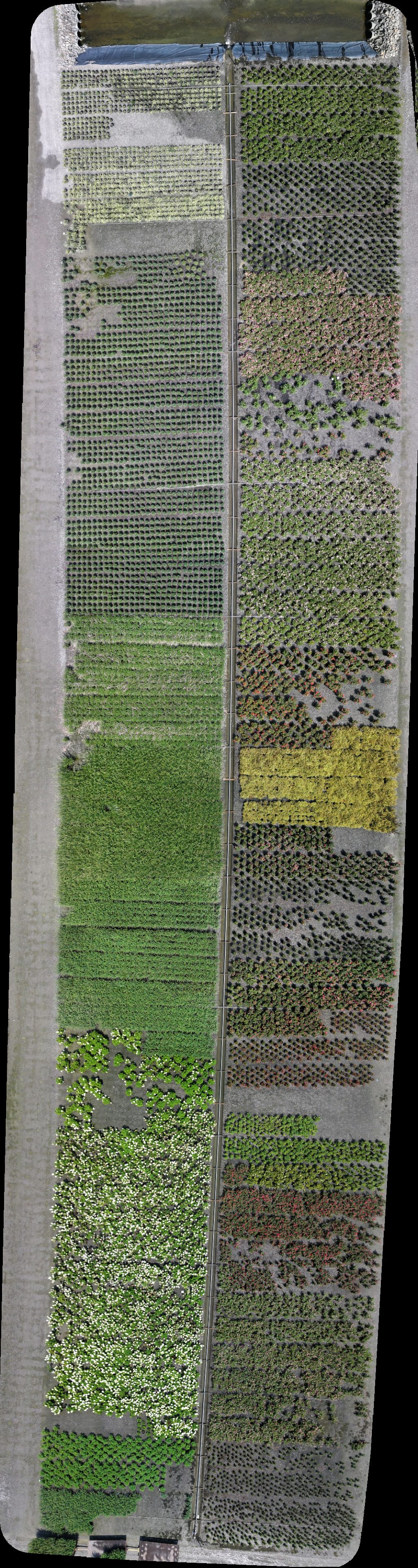 Thumbnail preview for Drone Map of Greenleaf Nursery Co Burnette Farms Recycling Center in Tarboro, North Carolina, United States