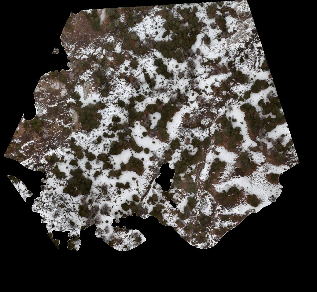 Drone map of Trailhead Toilets Lamoille Canyon Scenic Byway in ruby mountains Aerial drone map in Elko County, Nv, US