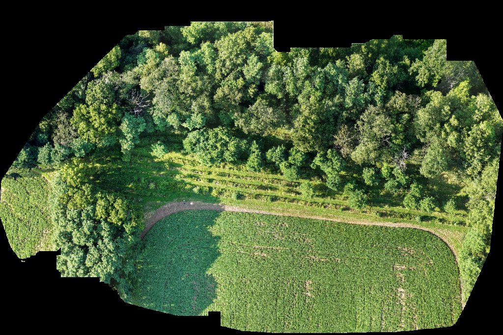 Thumbnail preview for Drone Map of Weaver Family Cemetery Anderson Metal Works Llc in Lockport, New York, United States
