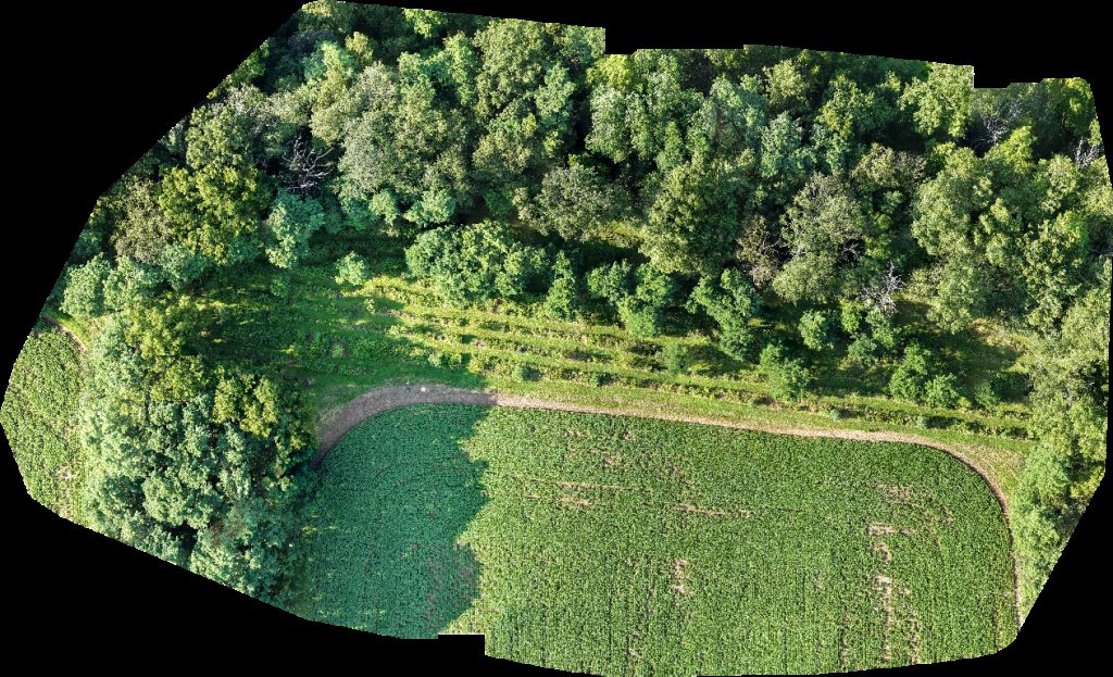 Thumbnail preview for Drone Map of Weaver Family Cemetery Anderson Metal Works Llc in Lockport, New York, United States