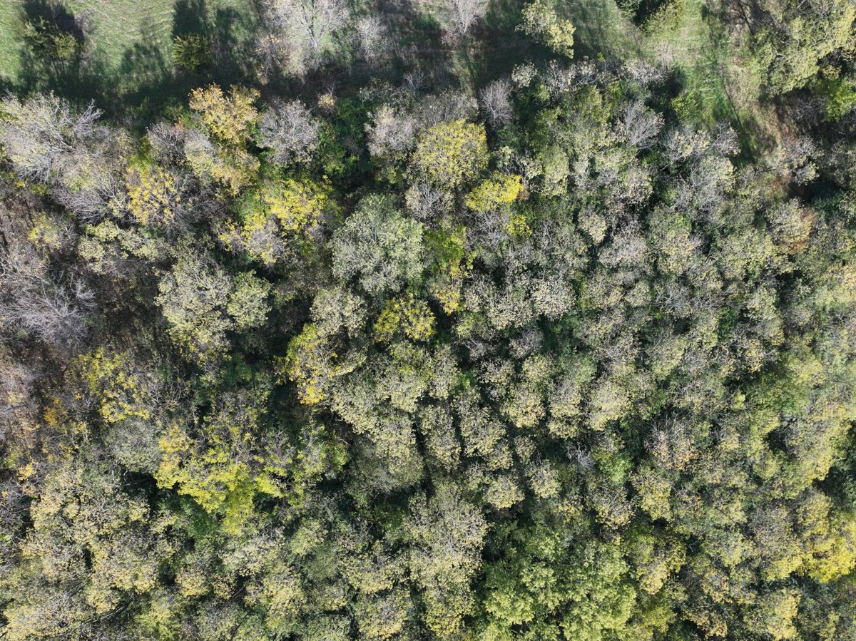 Drone 3d model of Penske Truck Rental IceCream Sundea Helmets Aerial drone 3d model in Monroe, Oh, US