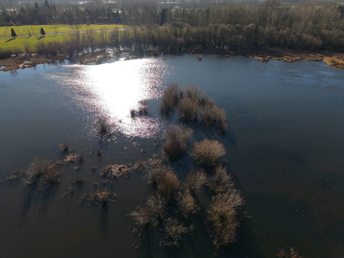 Drone 3d model of Delta Park West Off Leash Dog Vanport Marker in North Portland Aerial drone 3d model in Portland, Or, US
