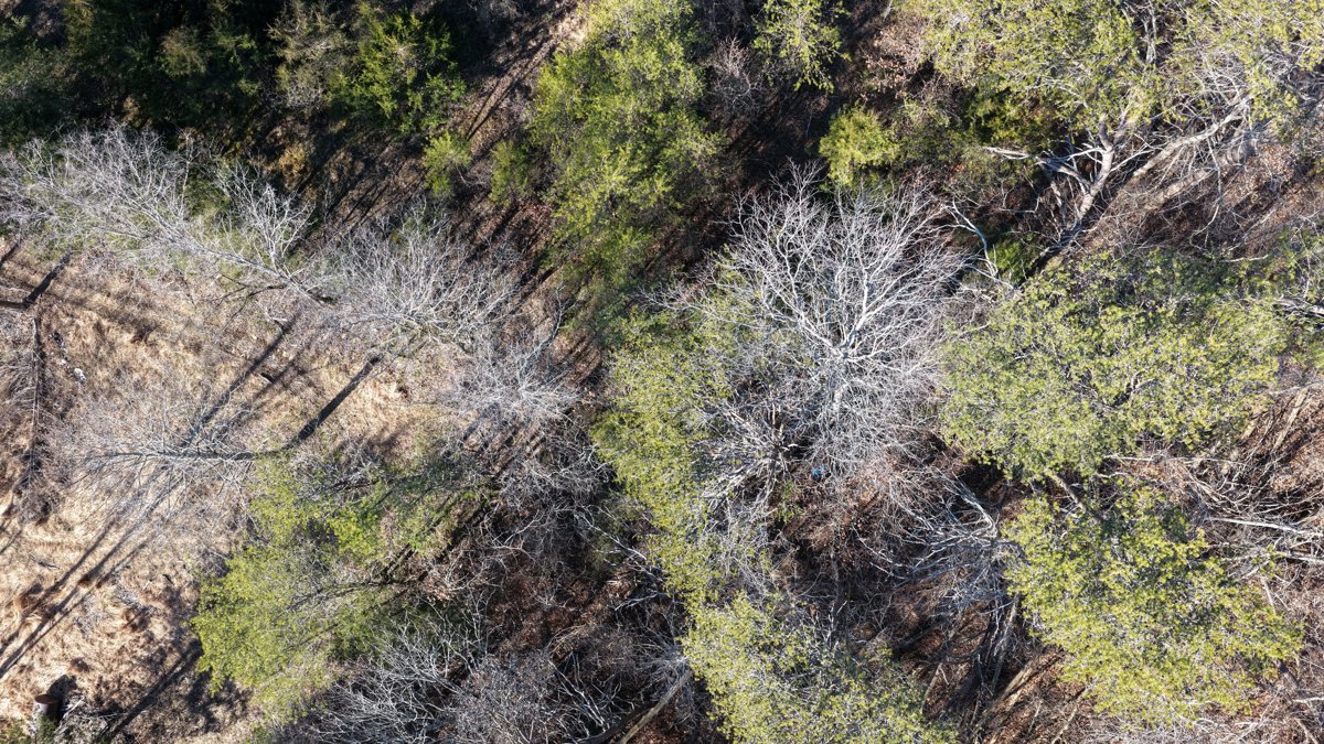 Drone 3d model of Barnes Tint Shine LLC Ez Stop in knob creek Aerial drone 3d model in Seymour, Tn, US