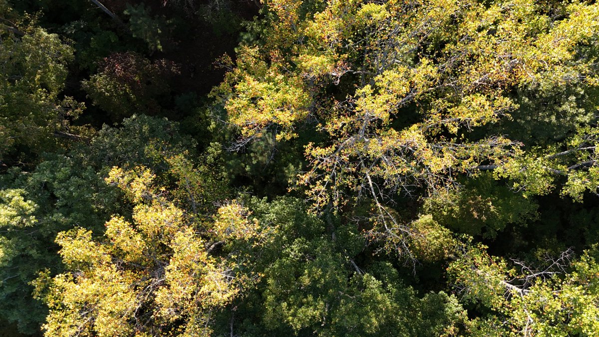 Drone 3d model of Cast Itchers SK Performance Horses in baptist church Aerial drone 3d model in Signal Mountain, Tn, US