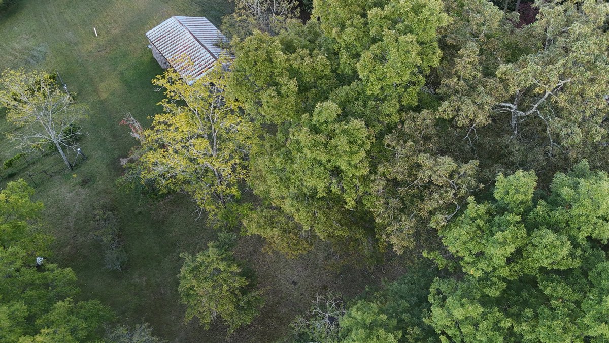 Drone 3d model of Cast Itchers SK Performance Horses Aerial drone 3d model in Signal Mountain, Tn, US