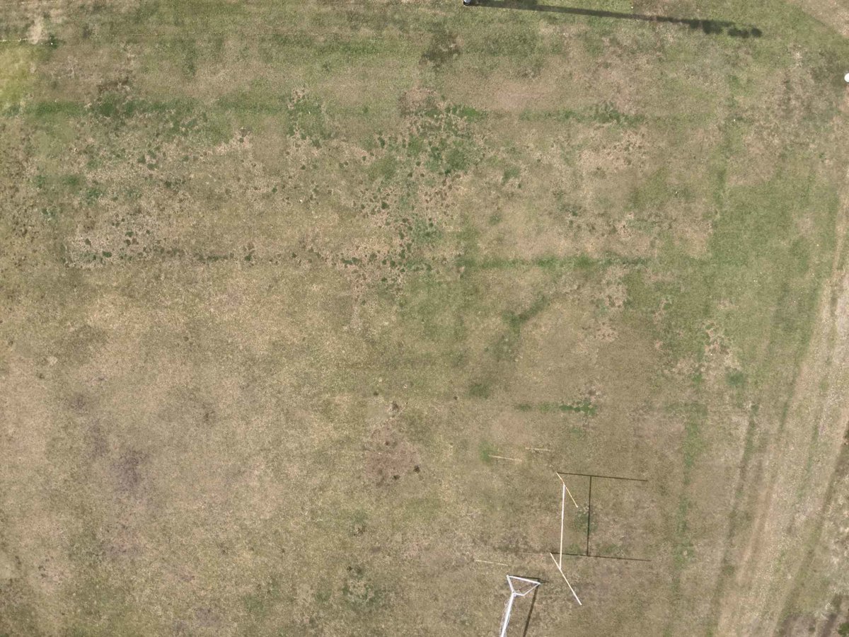 Drone 3d model of University of Recreation Center Field Dr M L King Blvd in South Side Aerial drone 3d model in Houston, Tx, US