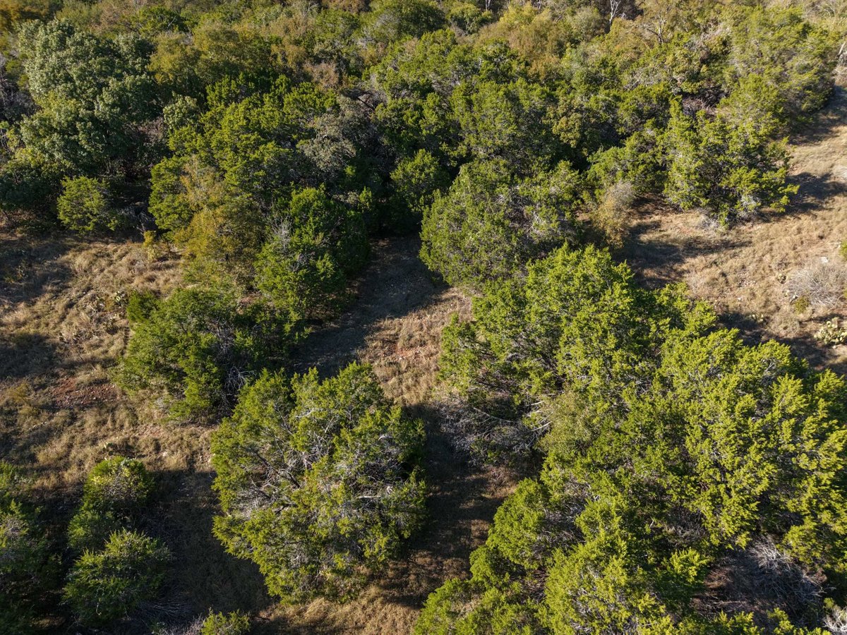 Drone 3d model of Wilmingham Springs Baptist Church Mustang at in 5 woman Aerial drone 3d model in Salado, Tx, US