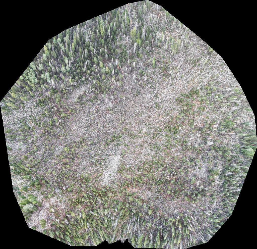 Drone map of Taylor Ridge Ranch and RV Park Geyser Pass Yurt in geyser pass Aerial drone map in Moab, Ut, US