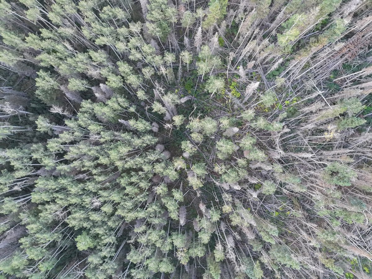 Drone 3d model of Taylor Ridge Ranch and RV Park Geyser Pass Yurt in geyser pass Aerial drone 3d model in Moab, Ut, US