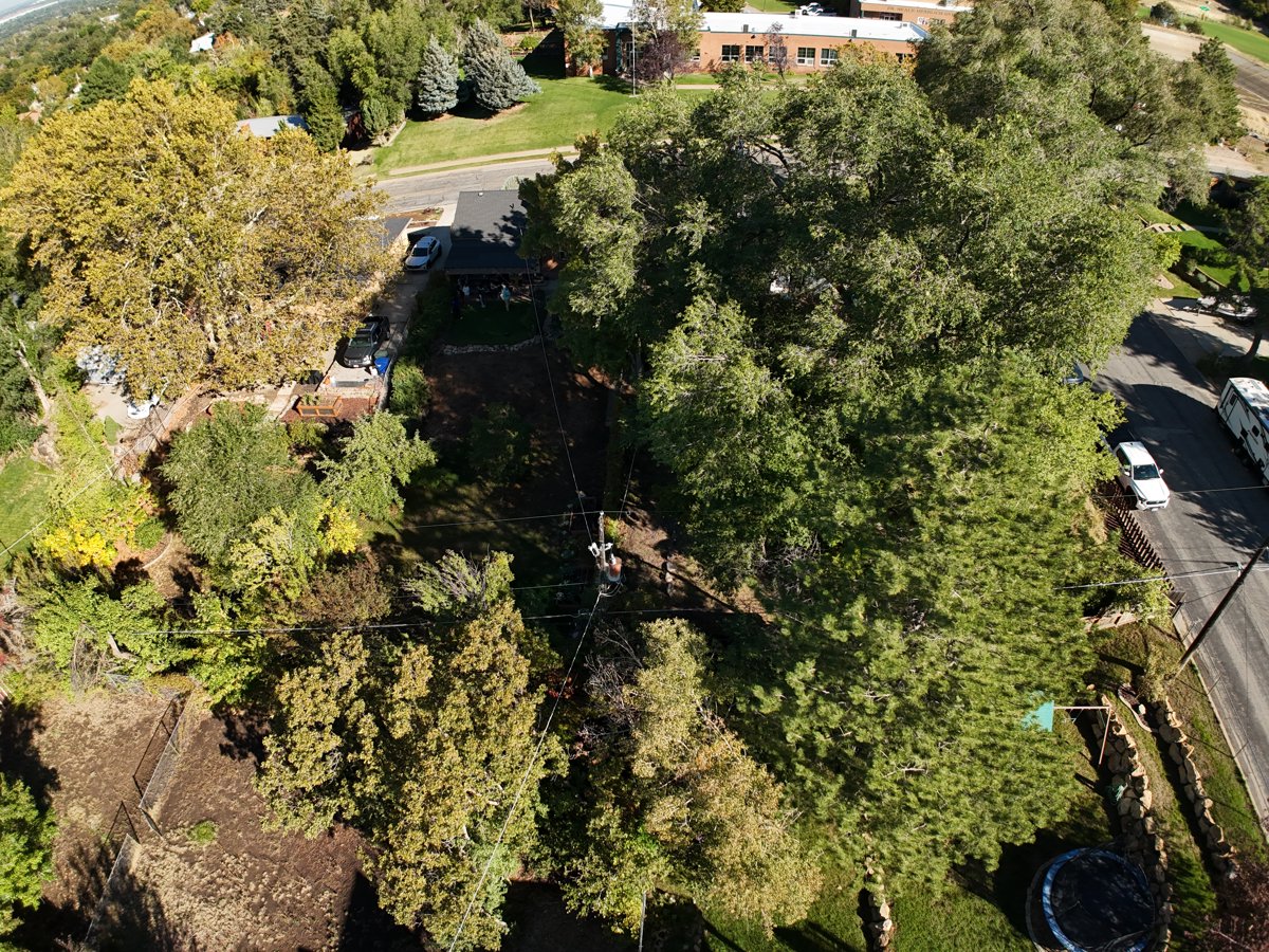 Drone 3d model of Saint Joseph Catholic High School Sun Eagle Art in saint joseph Aerial drone 3d model in Ogden, Ut, US