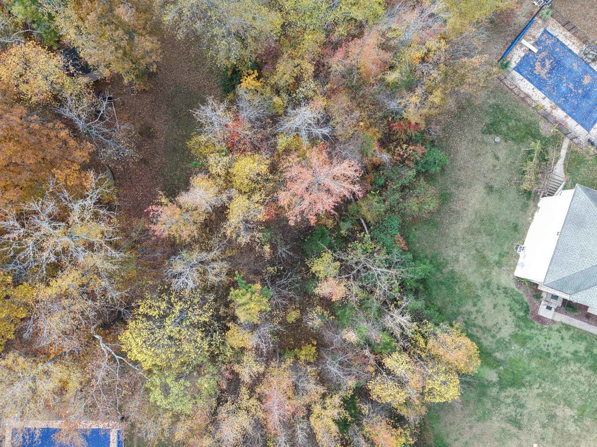 Drone 3d model of New Nielsenland The Sandbar Aerial drone 3d model in Holly Corner, Va, US