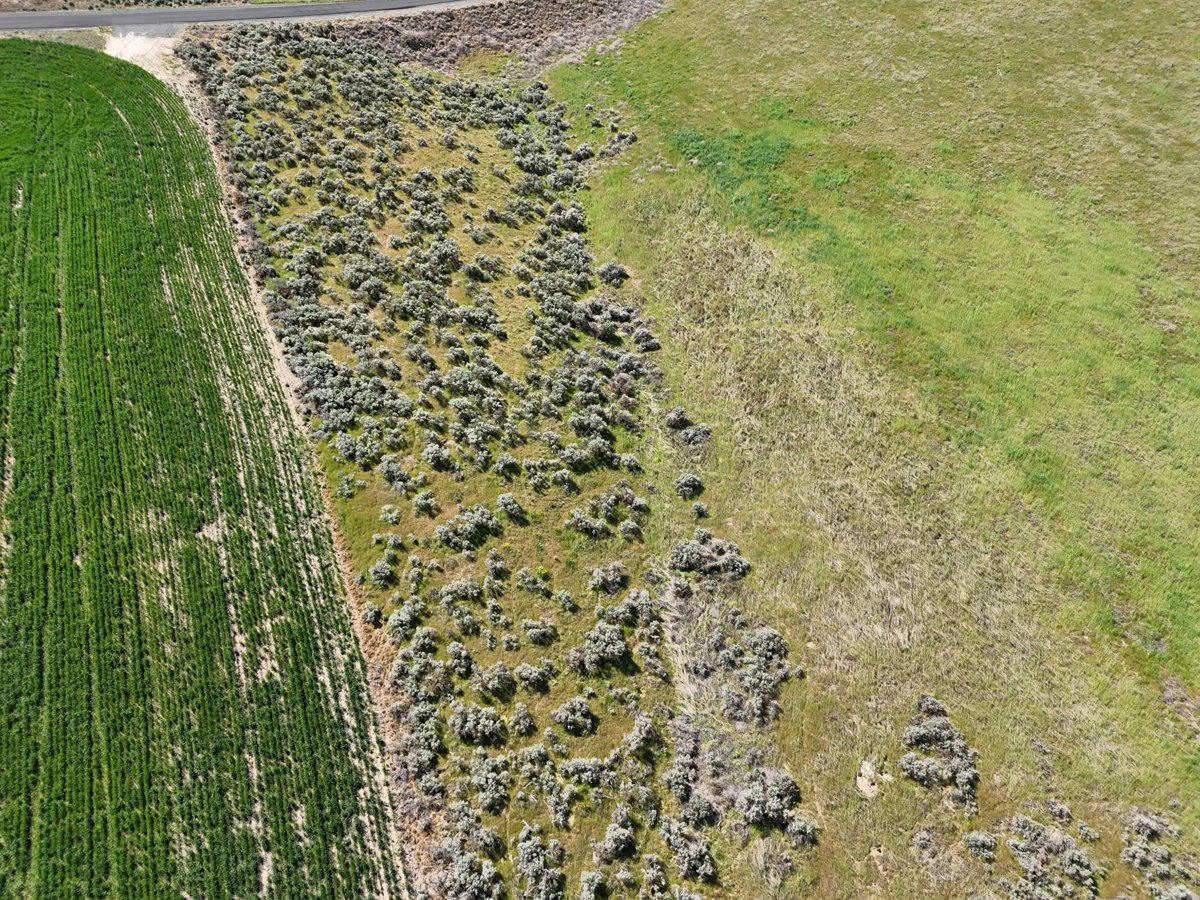 Drone 3d model of Vanlab Wheat Head Brewing Co in hilltop luxury Aerial drone 3d model in Kennewick, Wa, US