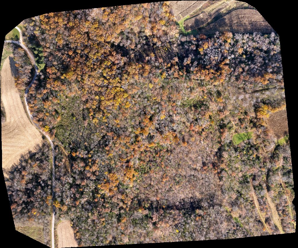 Drone map of Iglesia Pentecostes Liro De Los Valles Church of God pentecost M i Lily the valley in express mart Aerial drone map in Arcadia, Wi, US