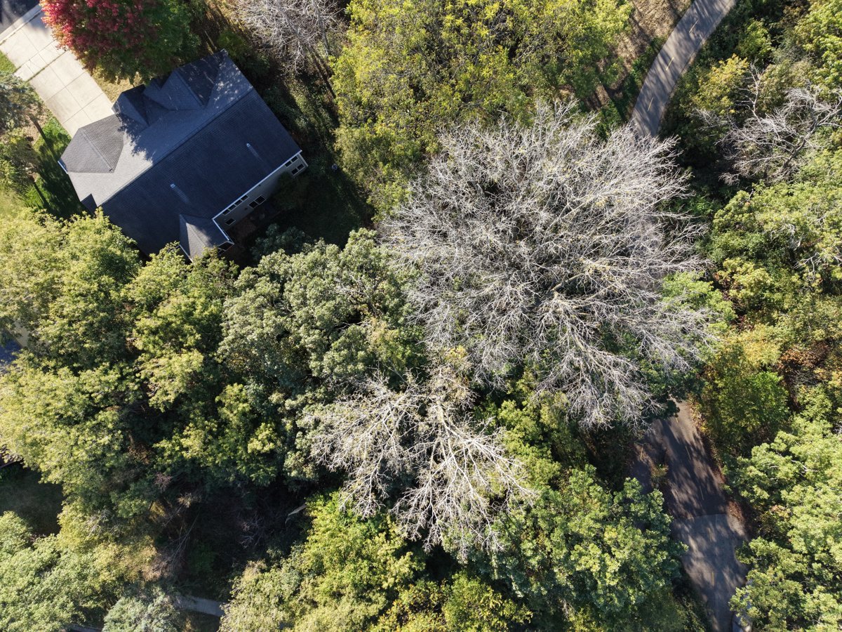 Drone 3d model of Awooncare Home Health Geri Gene Medical Corporation in science society Aerial drone 3d model in Fitchburg, Wi, US
